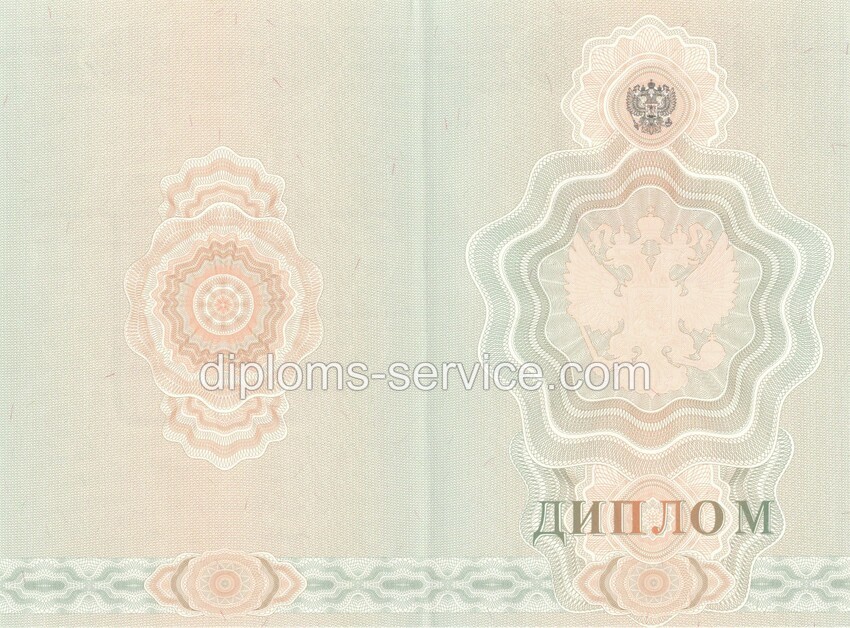 Диплом лицея 2007-2009 годов-фото2