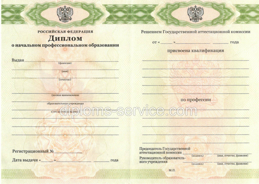 Диплом лицея 2010-2025 годов-фото1