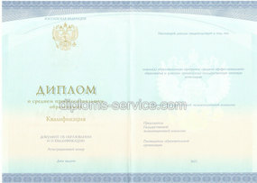 Диплом техникума (Спецбланк) 2014-2025 года
