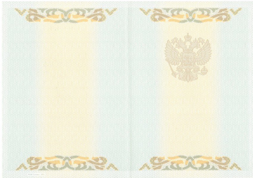 Диплом о высшем образовании 2004 года-фото2